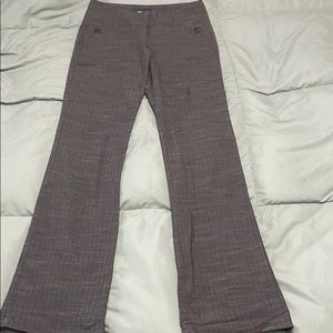 Joe b. Dress pant